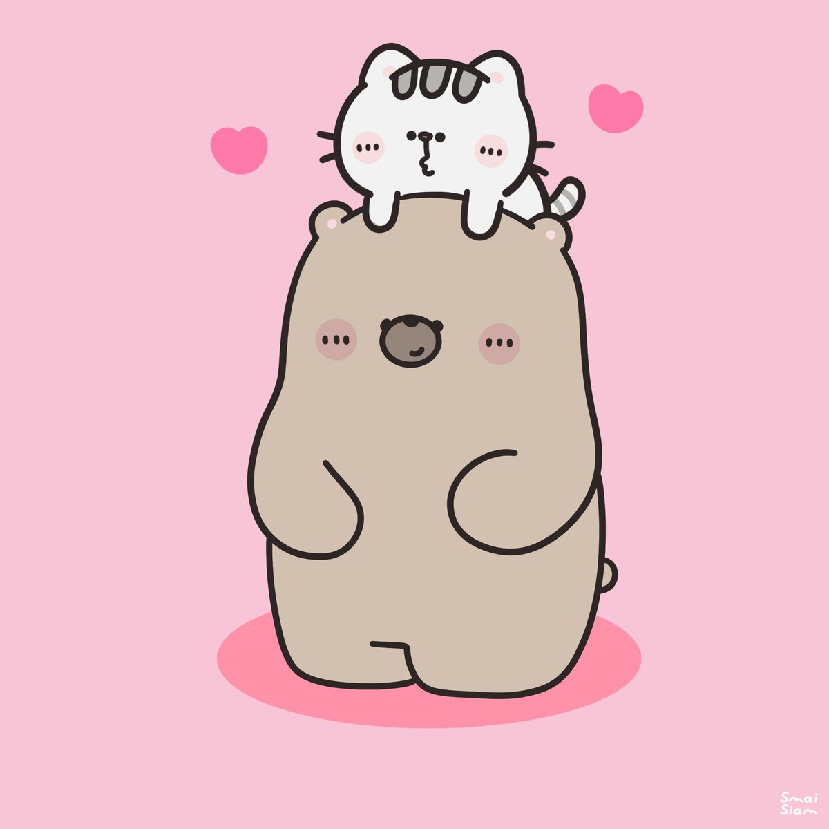 จมายเม่นเม่นและแมวพัมพุง 🦔🍑🐱 tweet media