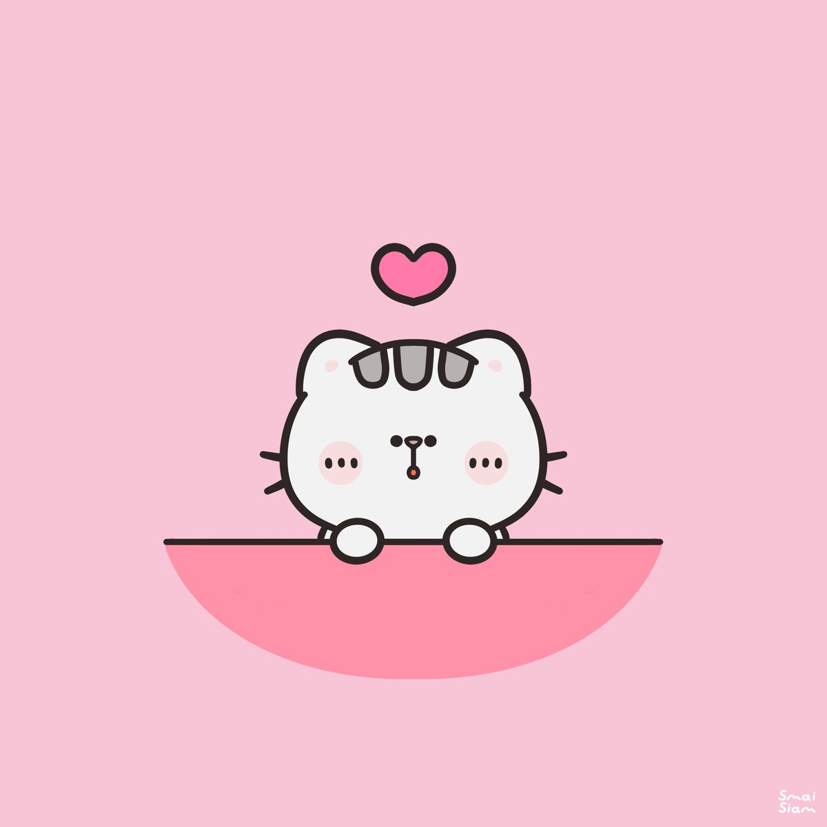 จมายเม่นเม่นและแมวพัมพุง 🦔🍑🐱 tweet media