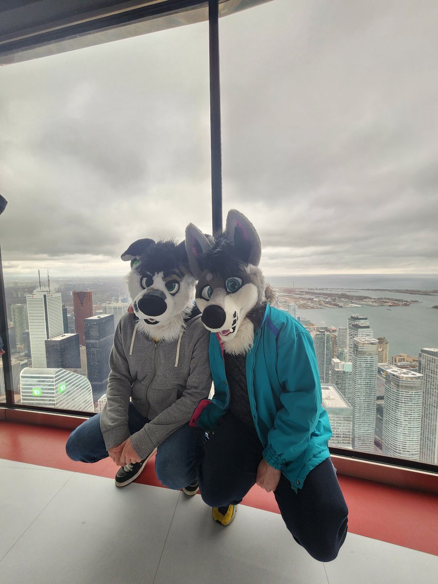 RykerMutt's tweet photo. Happy Valentine's day to my love, @HemlockFoxy https://t.co/F9l2daXSKe