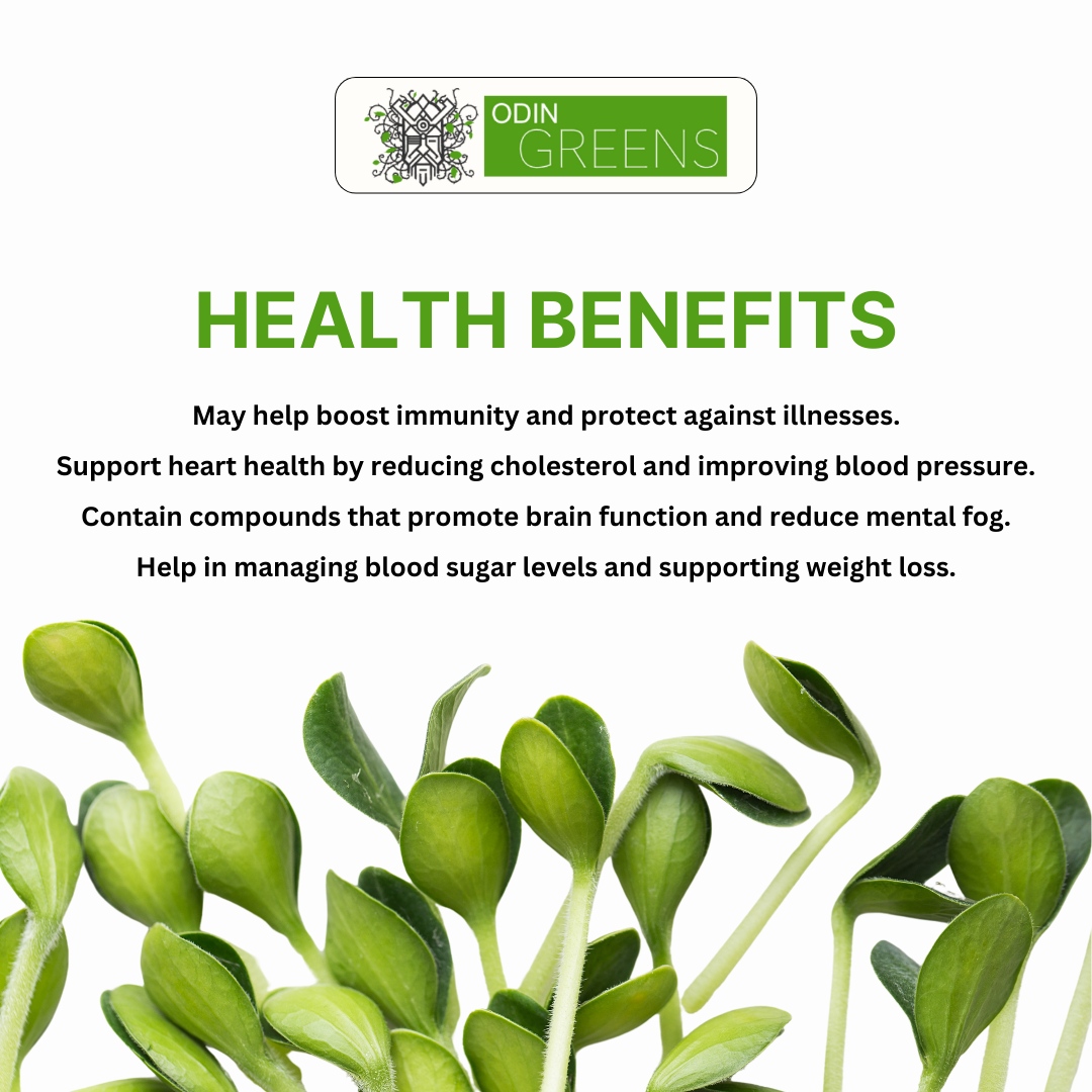 odingreens's tweet photo. Microgreens may boost immunity, support heart health by lowering cholesterol, enhance brain function, and aid in blood sugar regulation and weight management. 

Start adding microgreens to your meals for better health https://t.co/DJCxjV0Dan