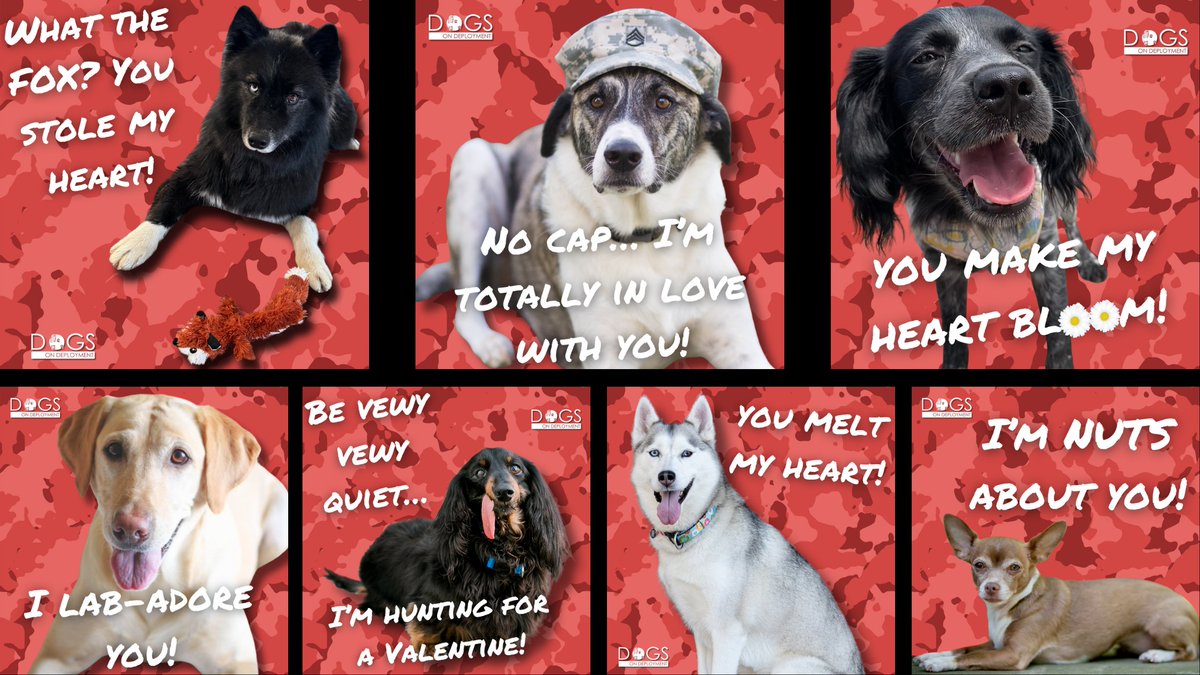DogsonDeploymnt's tweet photo. Roses are red, violets are blueโฆweโve got the cutest Valentines just for YOU! ๐๐ถ Celebrate love with our adorable DoD mascots!
#DogsonDeployment #valentines #DoDMascot #valentine #valentinesday #furryvalentine #happyvalentinesday #MilitaryPets https://t.co/6cx8I03zmo