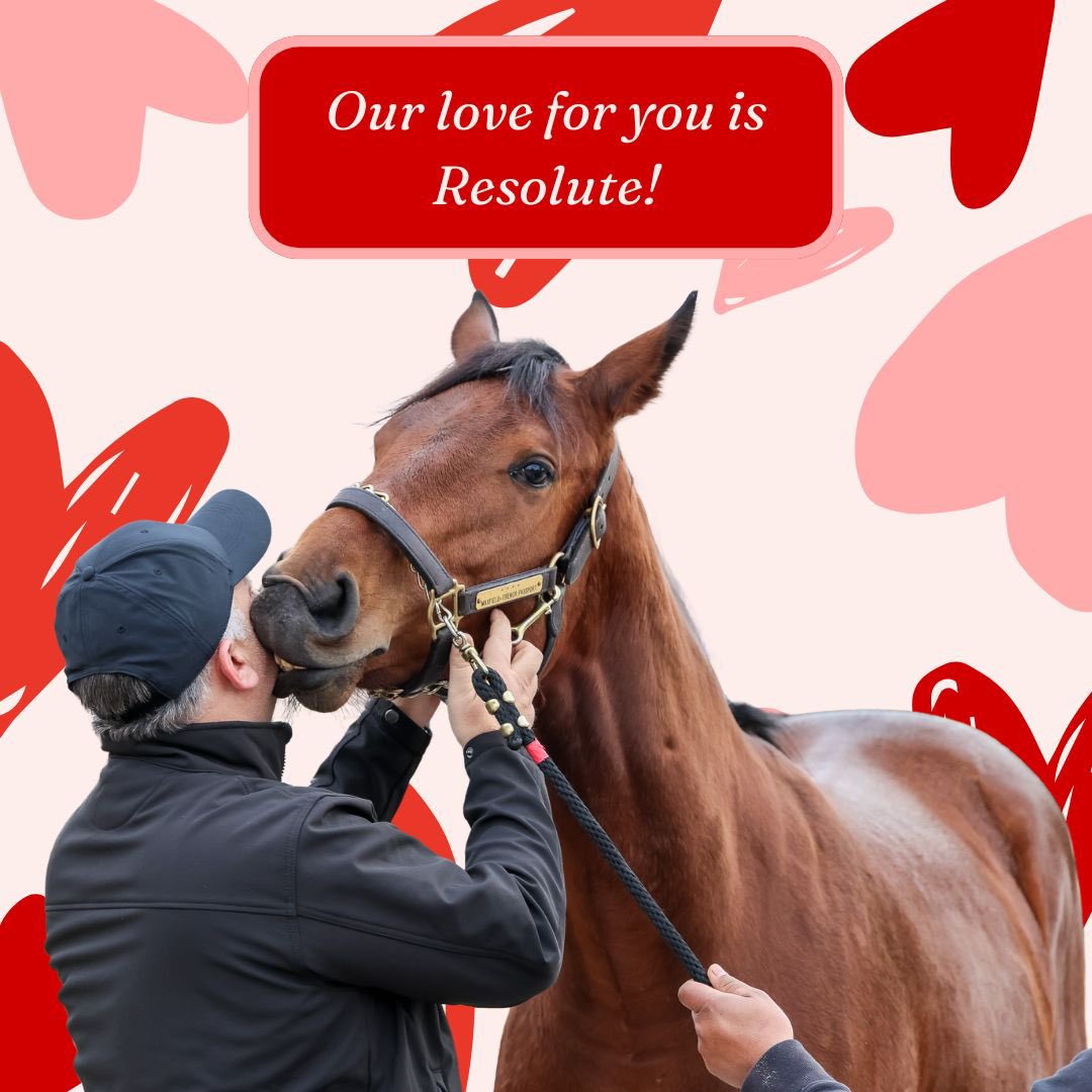 jstewartrr's tweet photo. Happy Valentine’s Day from @resracingky https://t.co/dXko79M8rN
