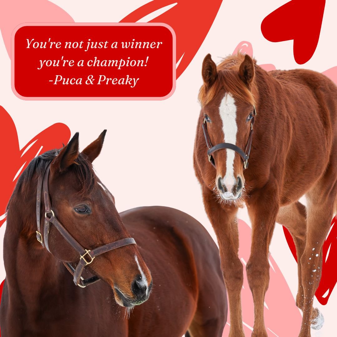 jstewartrr's tweet photo. Happy Valentine’s Day from @resracingky https://t.co/dXko79M8rN