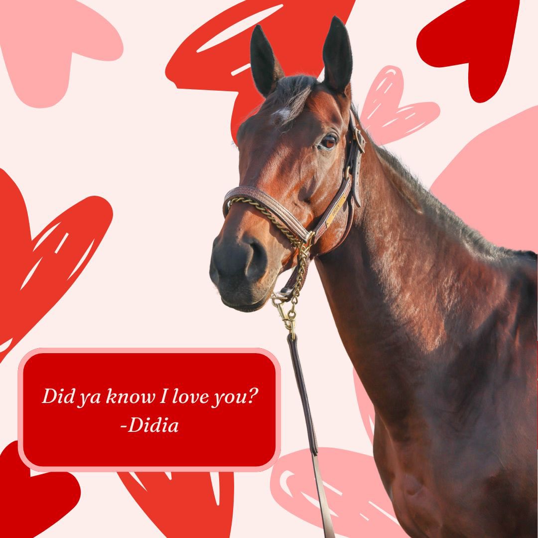 jstewartrr's tweet photo. Happy Valentine’s Day from @resracingky https://t.co/dXko79M8rN