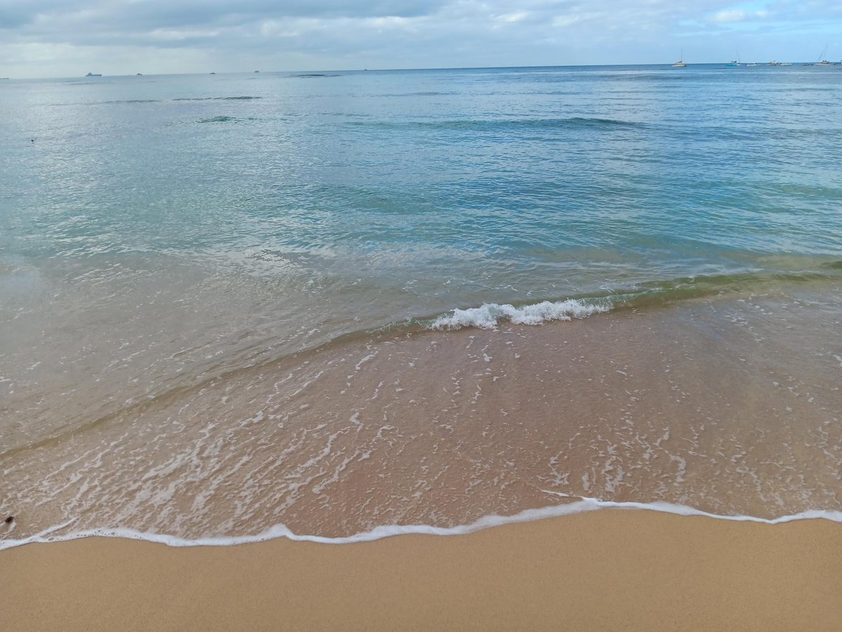 Jackie & Joel Smith tweet media