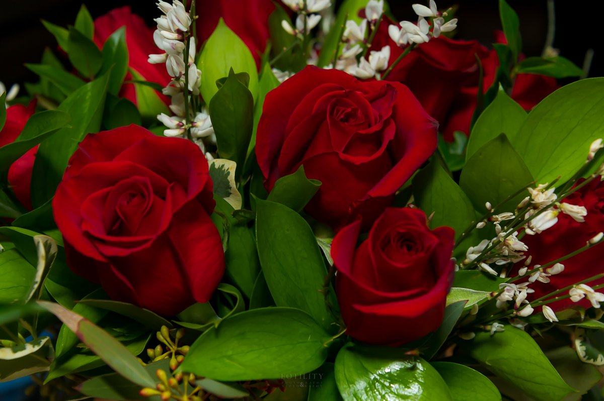 Fotility tweet media