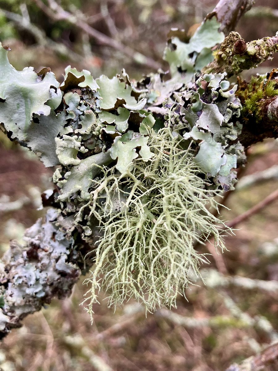 It’s been quite a day today in one way or another but I’ve just stepped off the carousel to seek out that one moment of beauty, however small, which makes everything so much better. Happy Valentine’s Day to all!