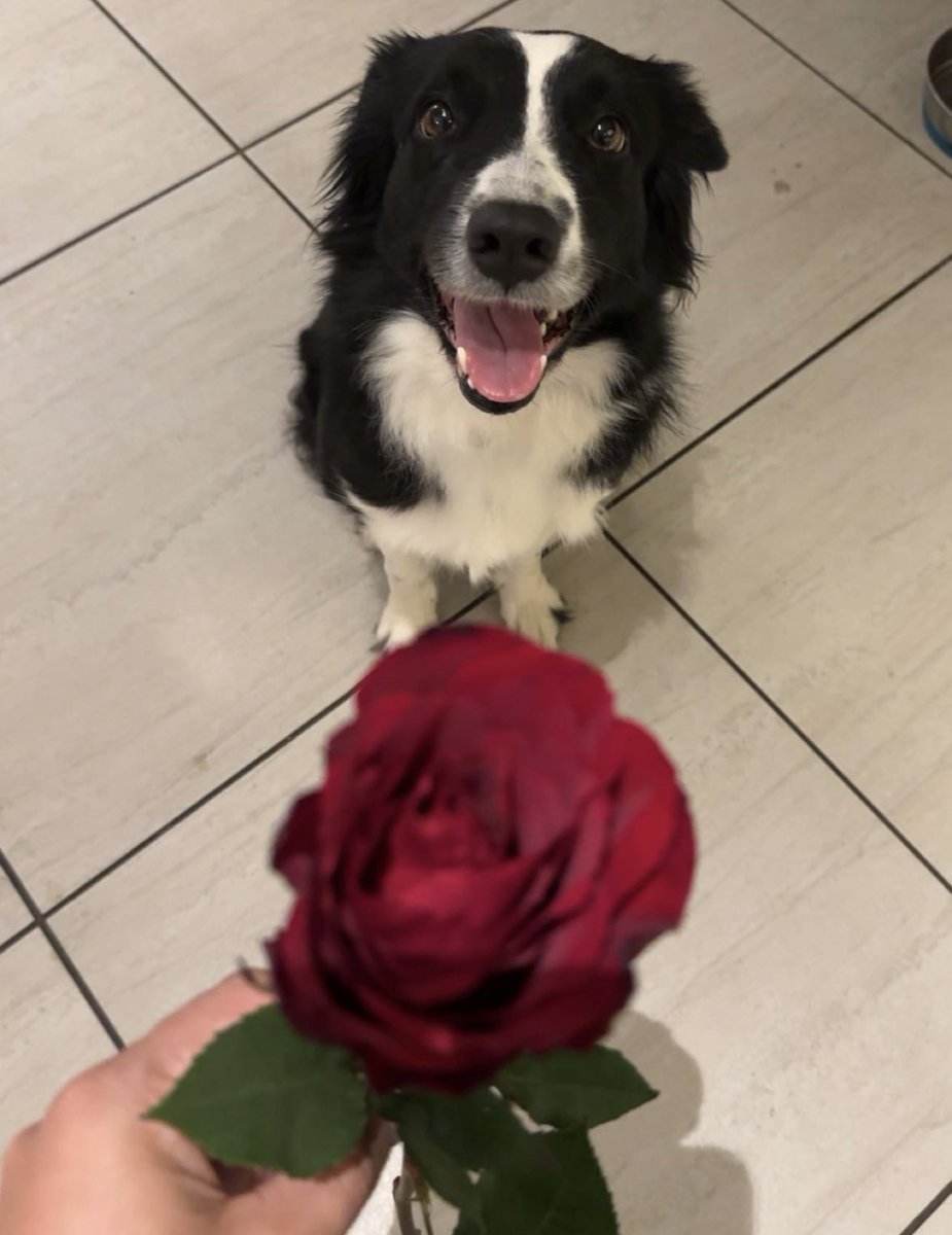 Happy valentines day💖