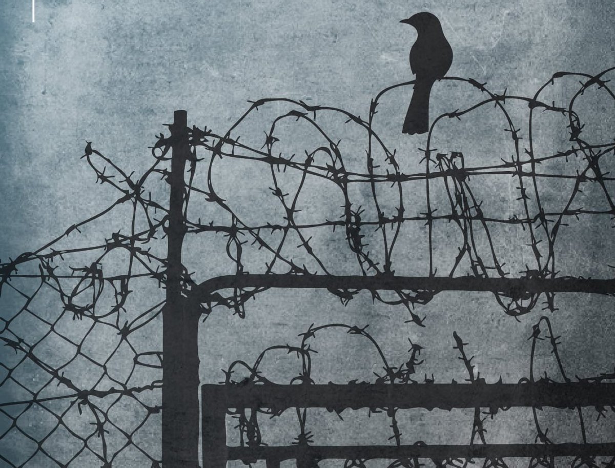 Freegazetta_rf's tweet image. .

⚖️
No Comment..
#freedom #FreeMedia #FreeNGO