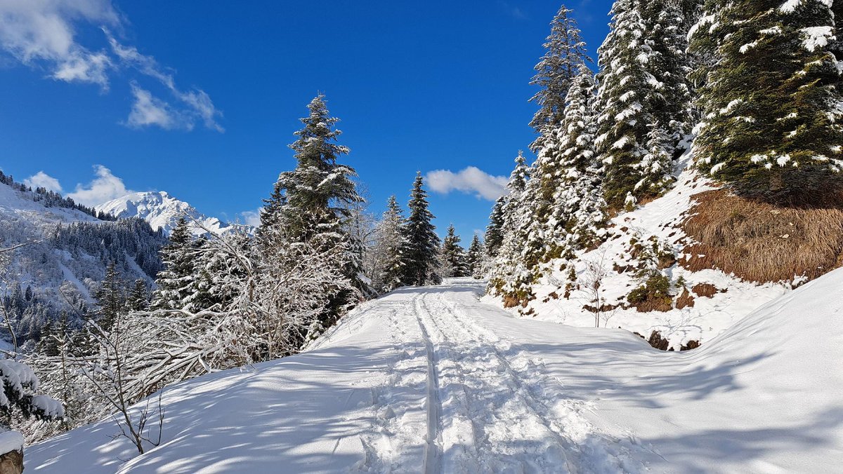 meteoschweiz's tweet image. Seit längerem wieder mal #Schnee ❄️bis ins Flachland! Zwei Wochen vor dem meteorologischen Frühlingsanfang meldet sich der Winter zurück. Südlich der Alpen &quot;putzte&quot; der #Nordföhn die Wolken weg. Details im heutigen #Meteoblog: meteoschweiz.admin.ch/ueber-uns/mete… 📷 Meteomeldungen/App