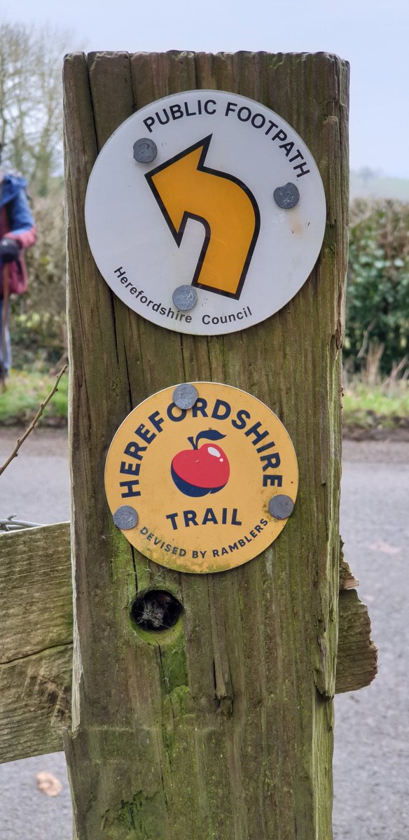 chrisjay tweet media