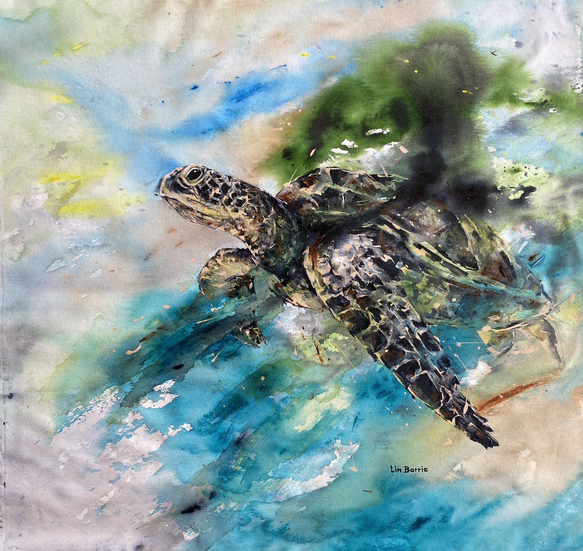 LinBarrie's tweet image. &amp;lt;i&amp;gt;Five species of #MarineTurtle come to land on African beaches to lay their eggs: Green (Chelonia mydas), Hawksbill (Eretmochelys imbricate), Olive Ridley (Lepidochelys olivacea), Leatherback (Dermochelys coriacea) and loggerhead (Caretta caretta). &amp;lt;/i&amp;gt; tusk.org/species/marine…