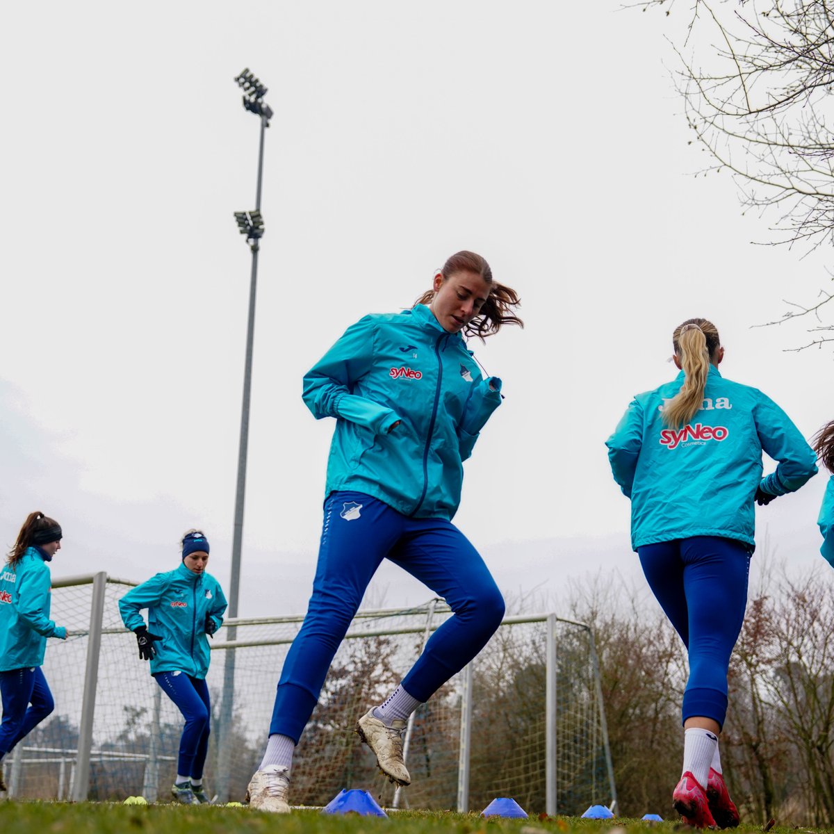 TSG Hoffenheim Frauen tweet media