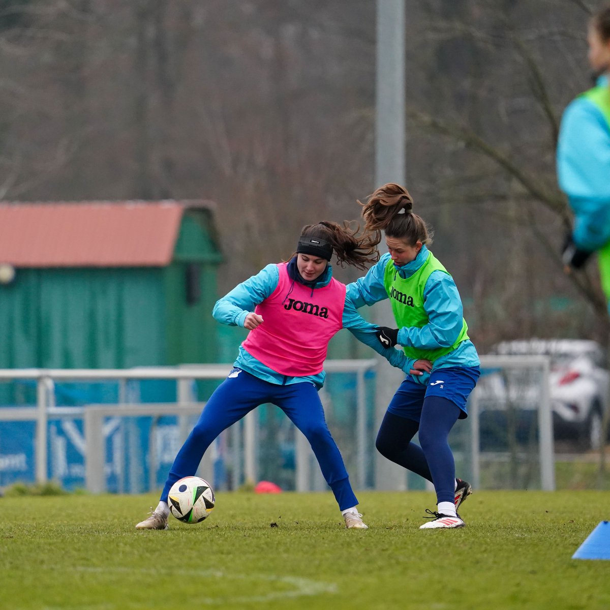 TSG Hoffenheim Frauen tweet media
