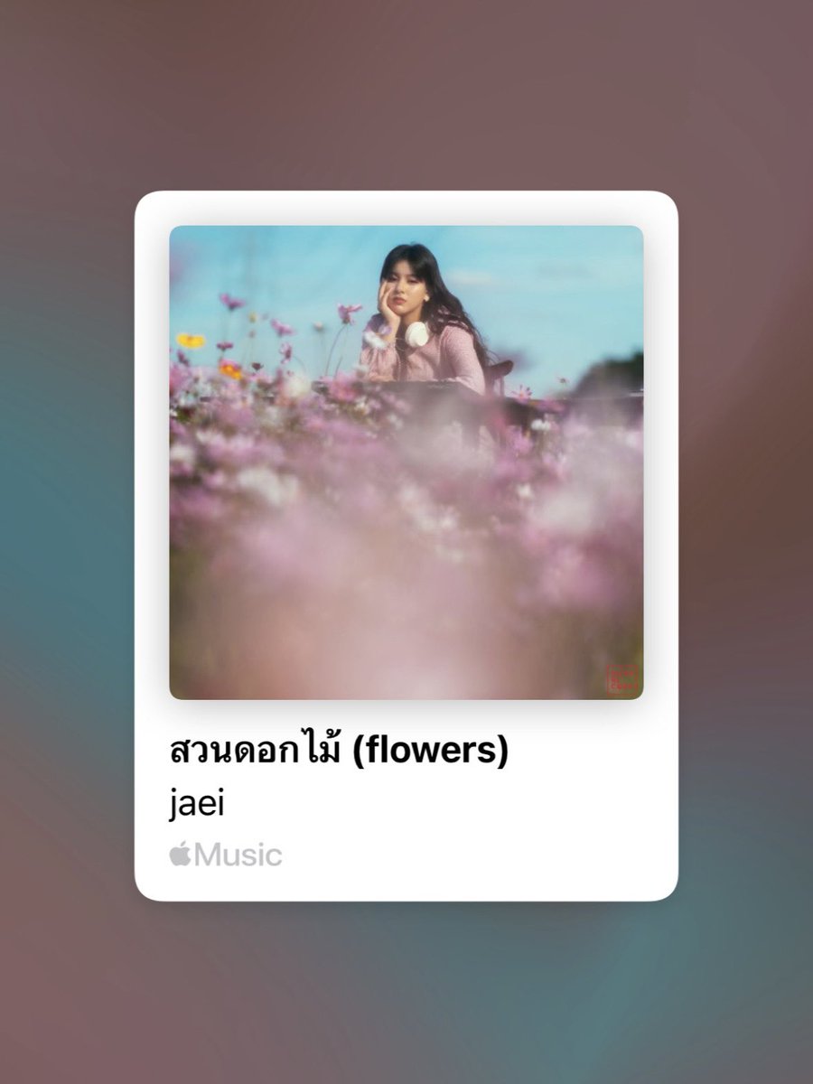 nyxpht's tweet image. —💐💌 𓂃꙳⋆  #maywyda ﹆·
