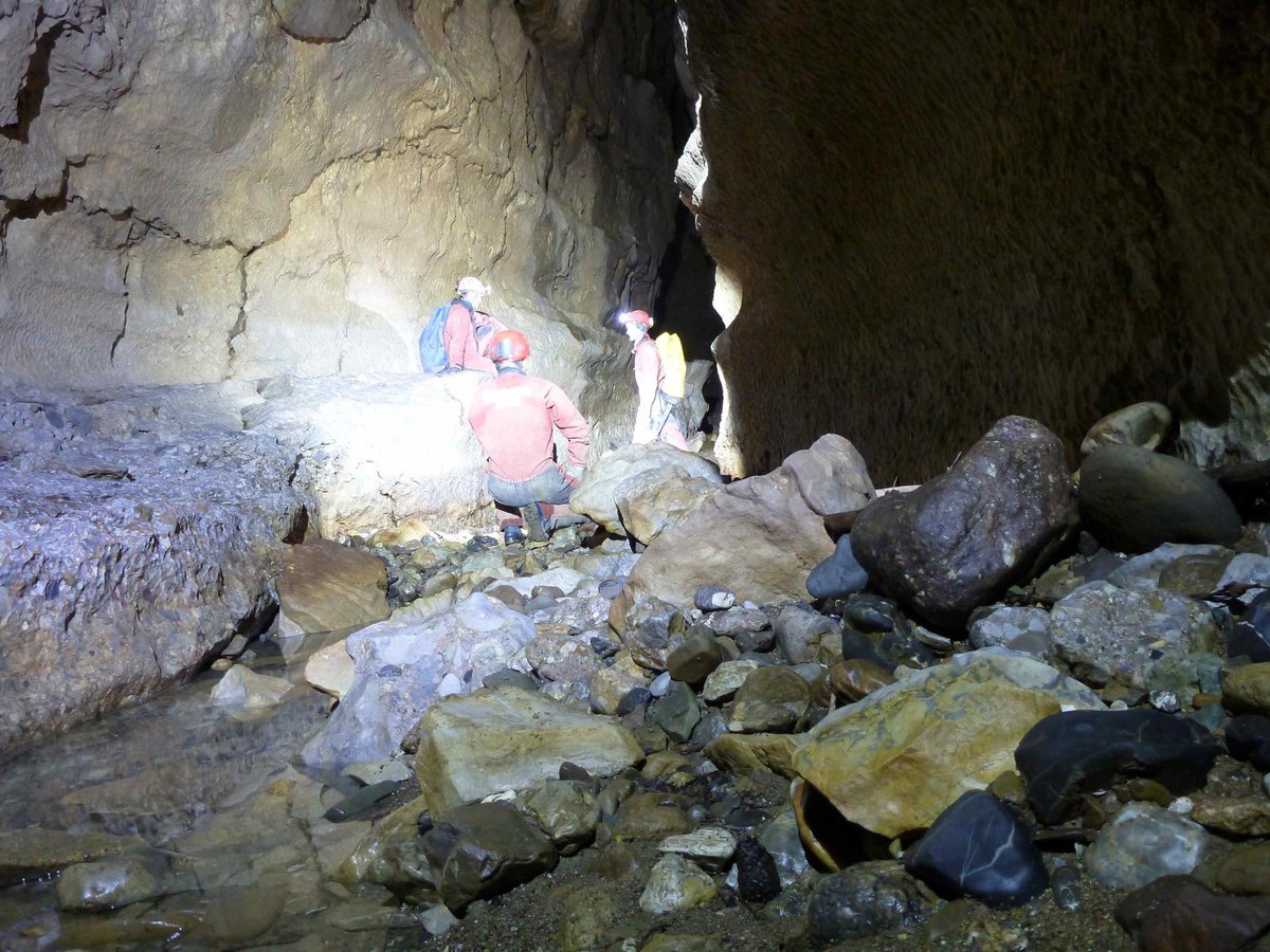 DEÜ SUMER tweet media