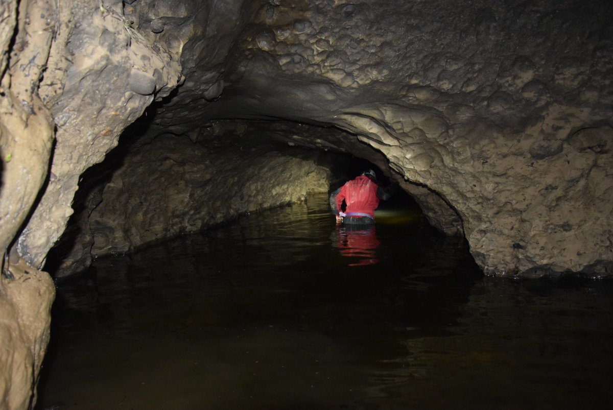 DEÜ SUMER tweet media