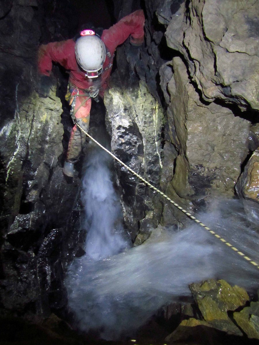 DEÜ SUMER tweet media