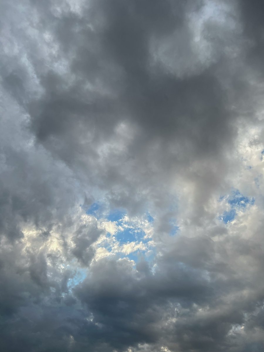 𝔍𝖆𝖟 . tweet media