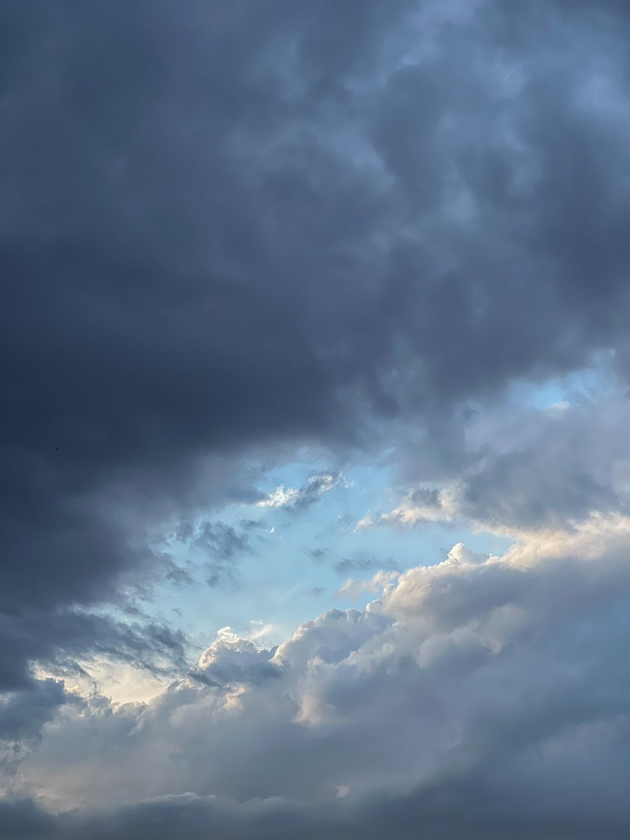 𝔍𝖆𝖟 . tweet media