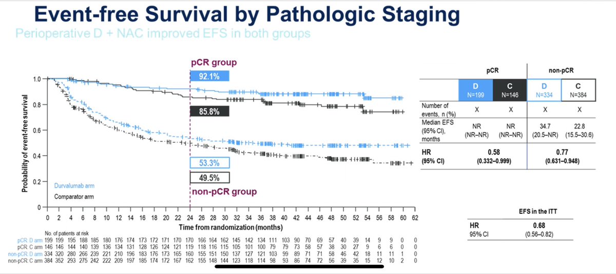 Tom Powles tweet media