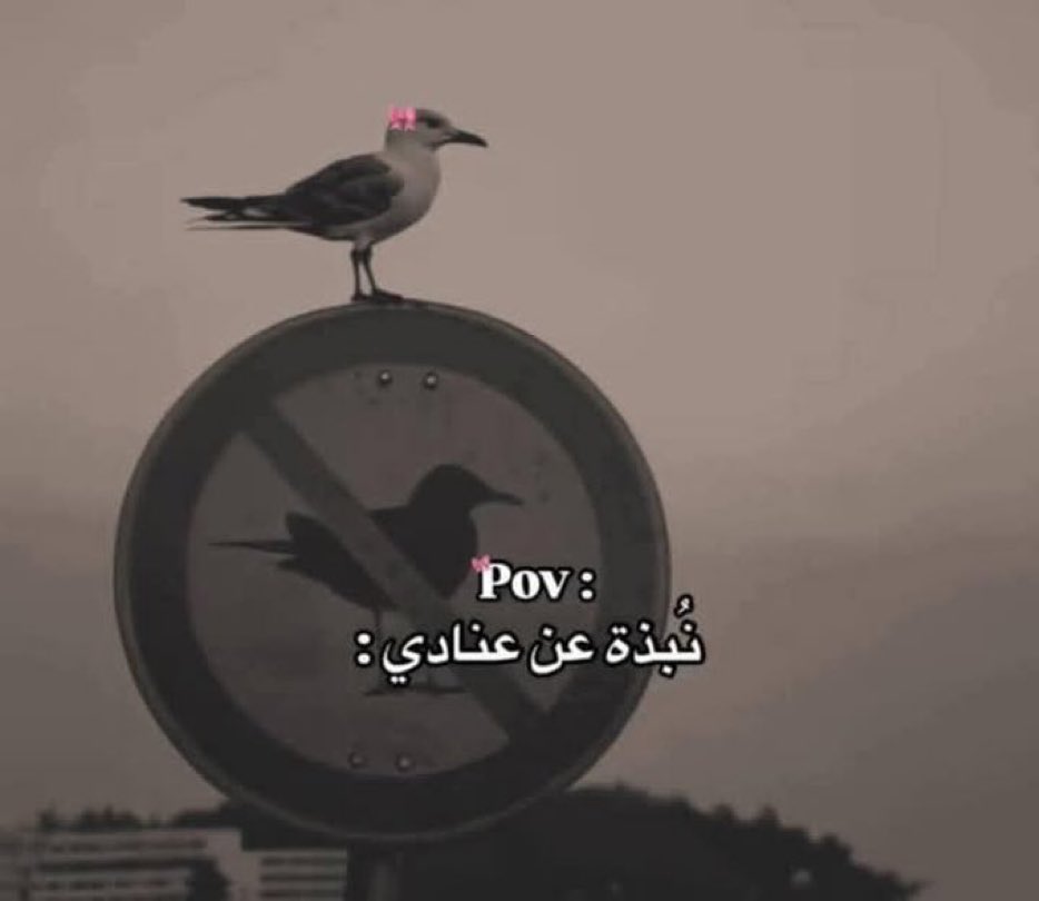 Arab Memes (@arabmemesss) on Twitter photo 