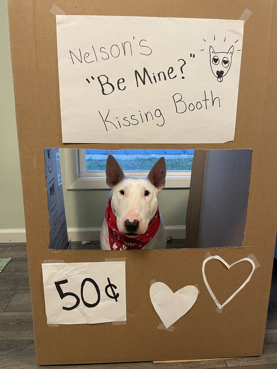 PupperNelson's tweet image. pls form an orderly line