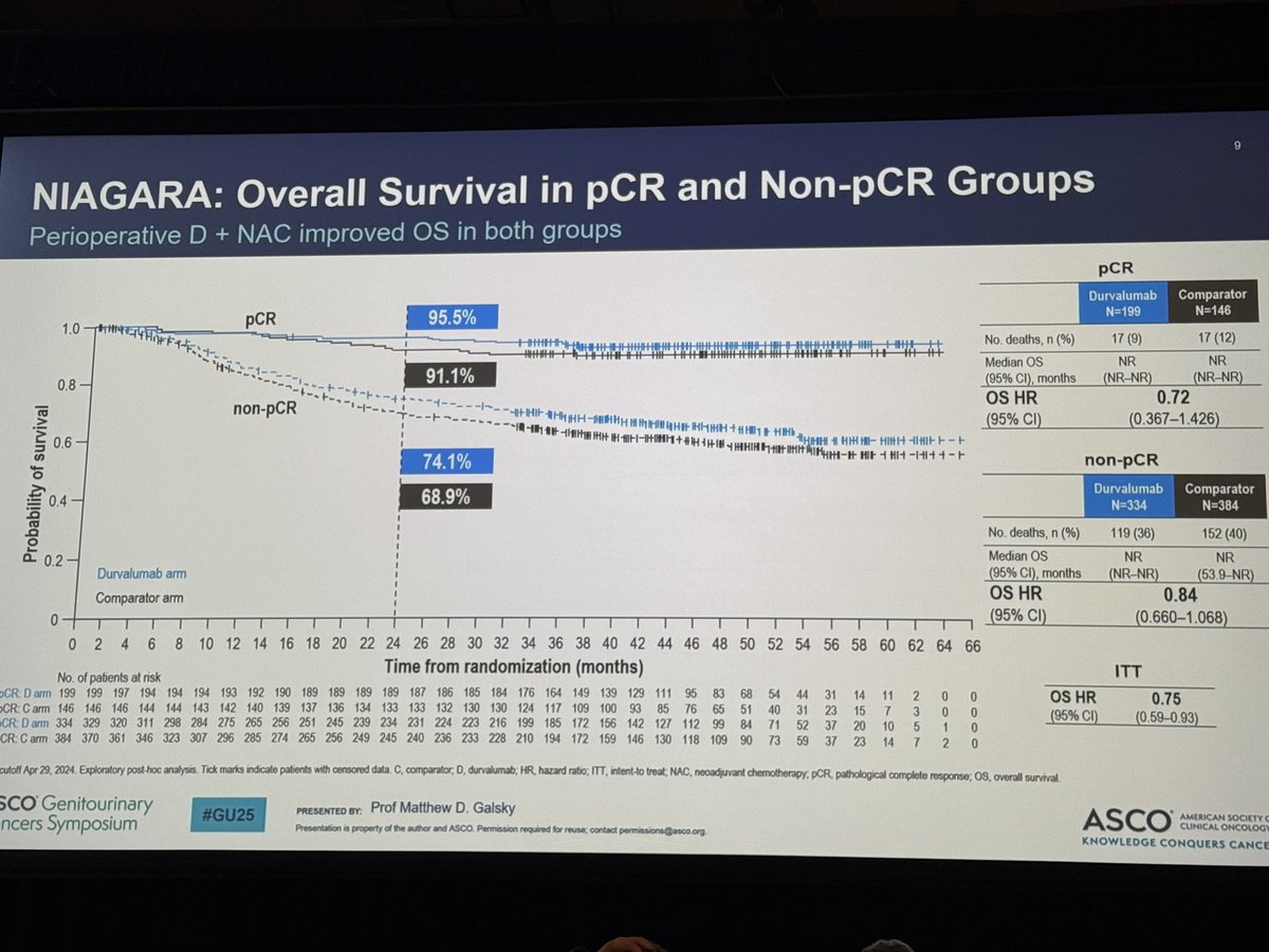 Enrique Grande (@drenriquegrande) on Twitter photo Now it’s time for the giant <a href="/MattGalsky/">Matt Galsky</a> at #GU25 @asco. There’s a clear additive effect of durvalumab over the benefit of neoadjuvant GEMCIS in MIB regardless if pCR was achieved or not. NIAGARA approach is becoming the standard of care….for a while…. Waiting for new ADCs + IO Now it’s time for the giant <a href="/MattGalsky/">Matt Galsky</a> at #GU25 @asco. There’s a clear additive effect of durvalumab over the benefit of neoadjuvant GEMCIS in MIB regardless if pCR was achieved or not. NIAGARA approach is becoming the standard of care….for a while…. Waiting for new ADCs + IO