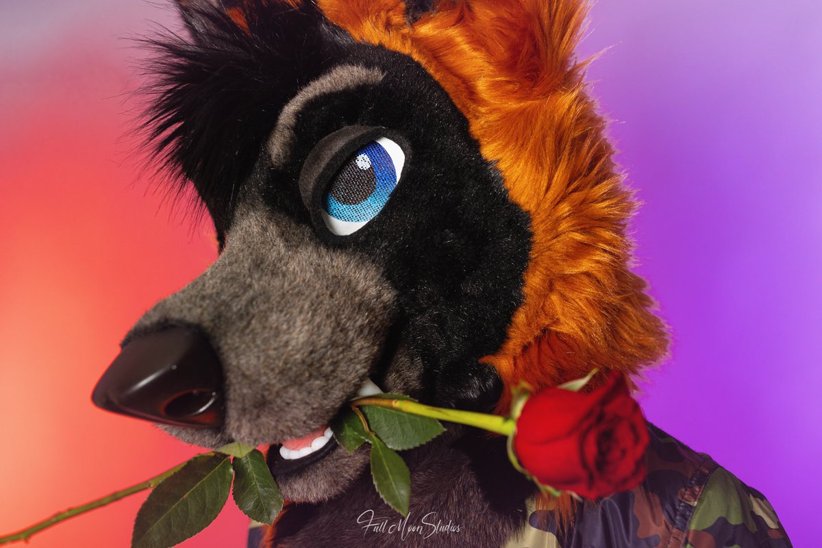 DeckerCrossFox's tweet image. Here, have a flower for Valentines Day