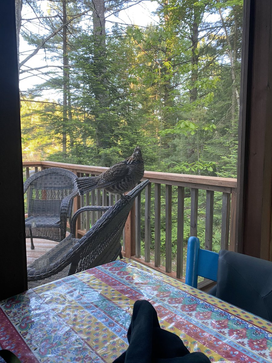 Great Backyard Bird Count starts today! From February 14th-17th help protect birds by getting outside and counting and identifying birds with students! 

Learn how to get involved at birdcount.org! 

#getoutside #outdooreducation
<a href="/TOES_TDSB/">TOES_TDSB</a>