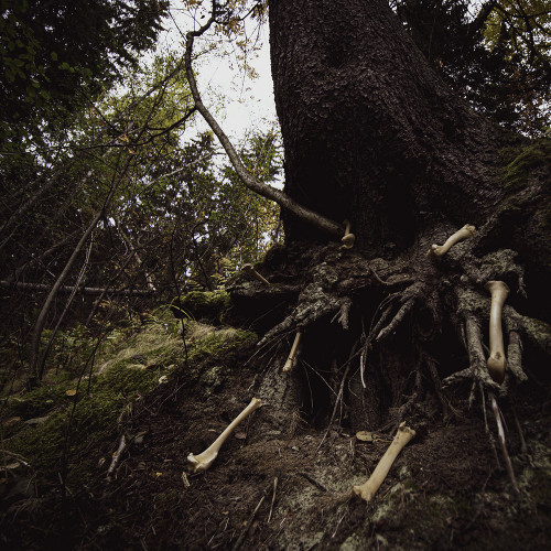OUT NOW!
All preorders will ship out immediately.

W.A.I.L. / Misantropical Painforest "Dare to Venture Down to Earth, Father! Perish into Nothingness" Split LP
ANTI-GOTH 732

-First pressing of 300 copies on black vinyl
-3mm jacket
-12" insert