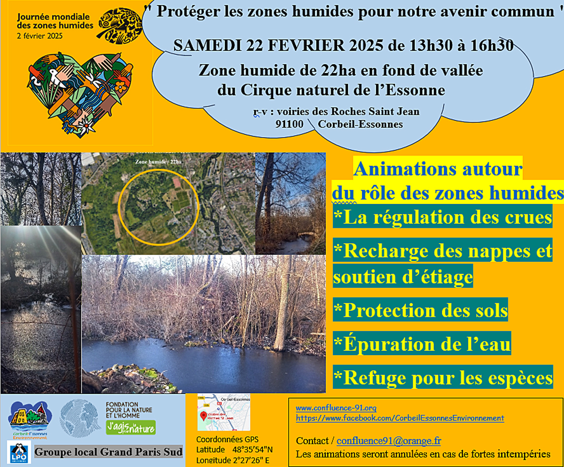 Corbeil-Essonnes : Découvrez la zone humide du Cirque de l’Essonne le 22 février
L’association Corbeil-Essonnes Environnement (CEE) vous invite, le samedi 22 février 2025, de 13 heures 30 à 16 heures 30, la zone humide du Cirque de l’Essonne. Plus : infos.91.free.fr/infos-91-en-br…