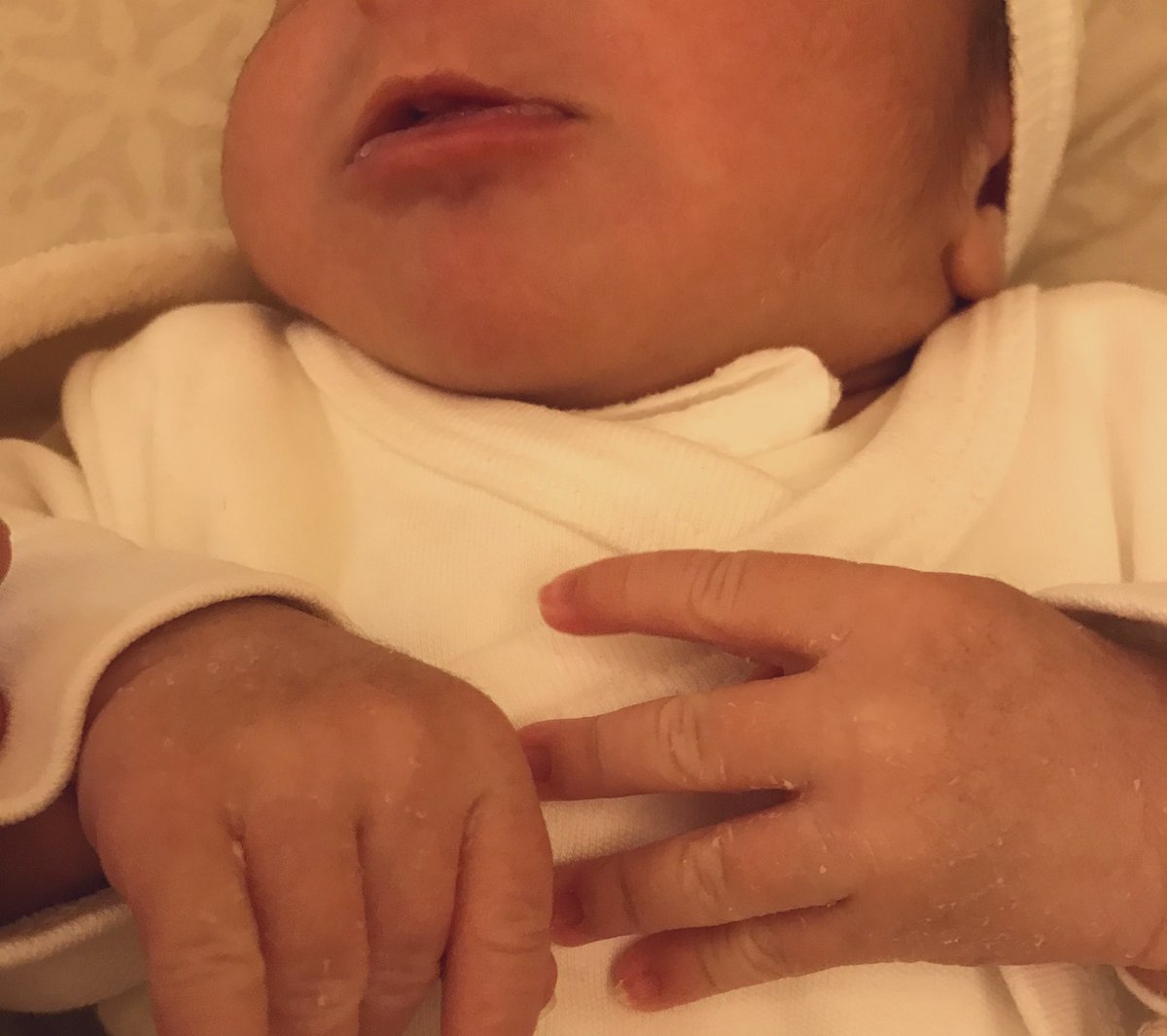 20.01.2025
Tü hatî xweşbu jiyanamın..