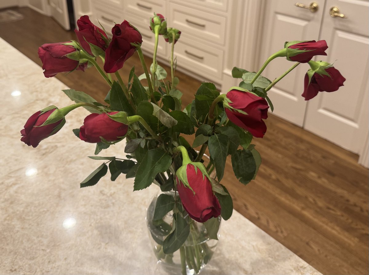 Gov. Mike Huckabee (@govmikehuckabee) on Twitter photo I ordered THIS from <a href="/AvasFlowers/">Avas Flowers</a> but got THIS. Be forewarned! Don't get hosed like I did. Embarrassing! I ordered THIS from <a href="/AvasFlowers/">Avas Flowers</a> but got THIS. Be forewarned! Don't get hosed like I did. Embarrassing!
