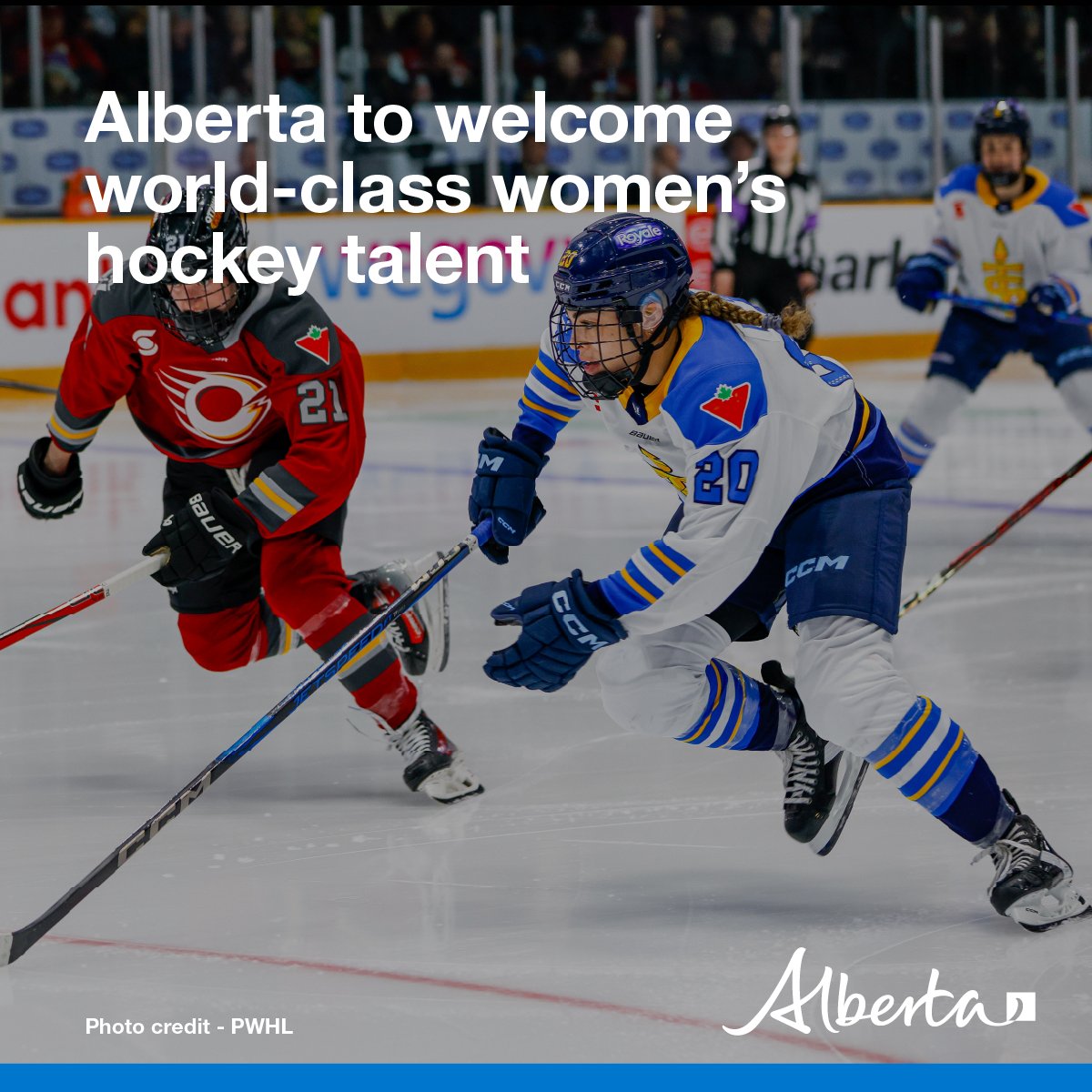 Alberta Tourism and Sport (@abtourismsport) on Twitter photo The <a href="/PWHL_Toronto/">Toronto Sceptres</a> and <a href="/PWHL_Ottawa/">x - Ottawa Charge</a> will face off in the heart of Edmonton’s downtown 🏒 Feb 16. The much-anticipated game will inject millions into the local economy and highlight the province as a prime destination for world-class sport events. Learn more alberta.ca/release.cfm?xI… The <a href="/PWHL_Toronto/">Toronto Sceptres</a> and <a href="/PWHL_Ottawa/">x - Ottawa Charge</a> will face off in the heart of Edmonton’s downtown 🏒 Feb 16. The much-anticipated game will inject millions into the local economy and highlight the province as a prime destination for world-class sport events. Learn more alberta.ca/release.cfm?xI…