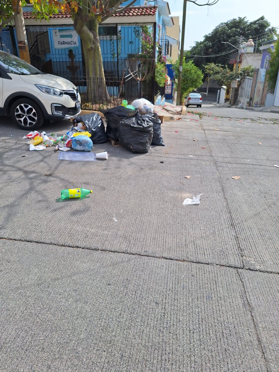 malzra's tweet photo. Así juntan y recolectan la basura ahora, horas en la calle, mientras tanto los perros la tiran y obvio no levantan ni barren al pasar @GuadalajaraGob @EnriqueAlfaroR https://t.co/yofzzXoR4g