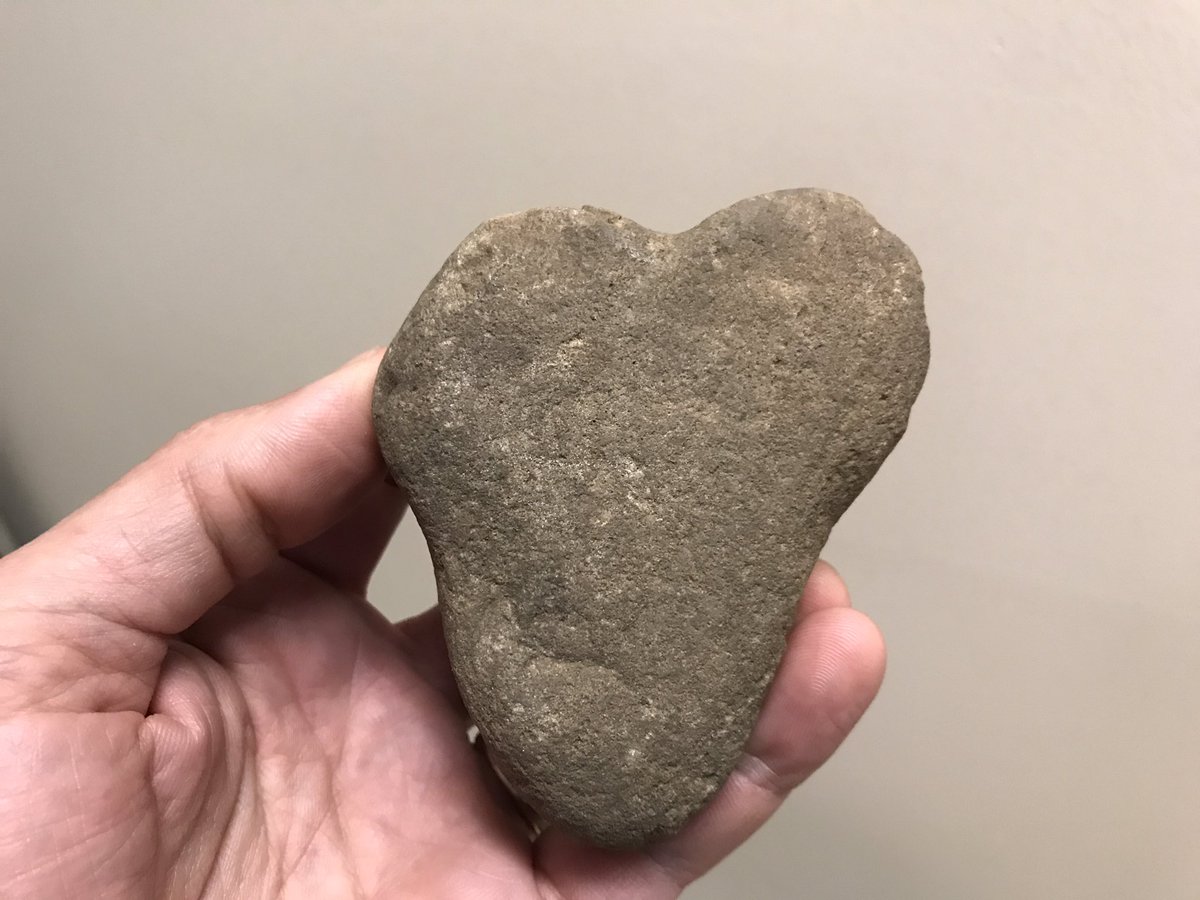 Tim Fedak, PhD FRCGS tweet media