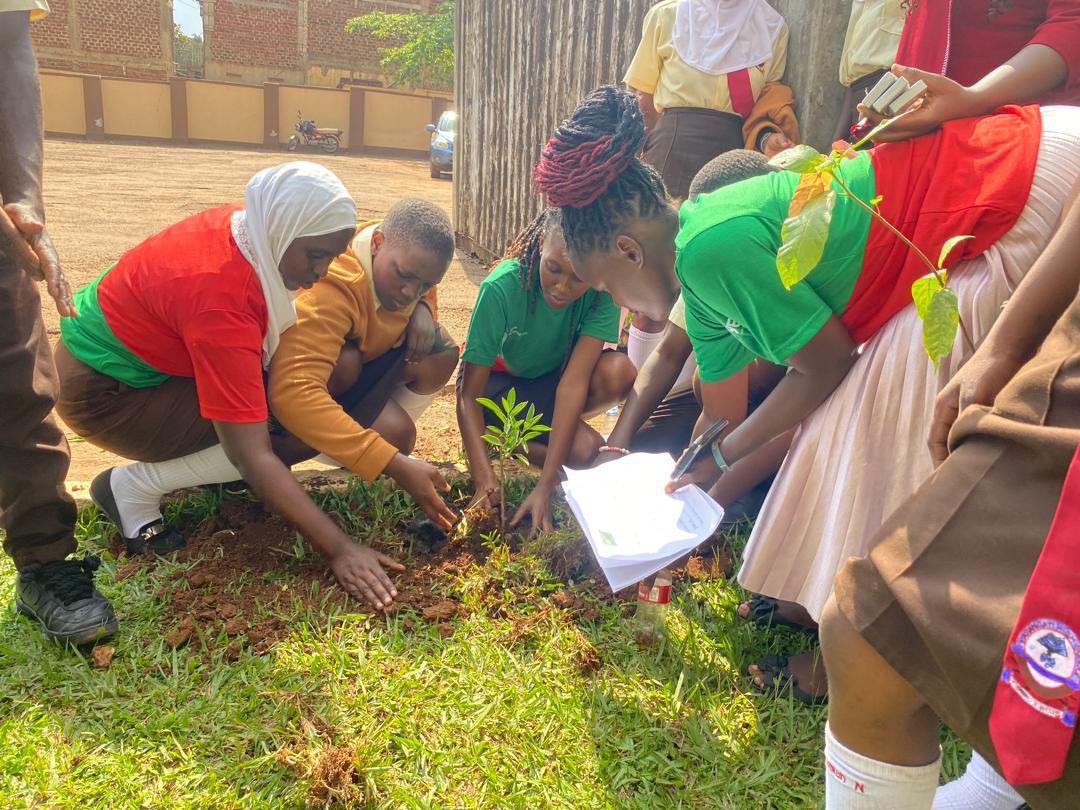 sapefoundation's tweet photo. Love was in the air..for the planet too!🍃as @YesGlobal256 we celebrated Valentine's Day with a twist at Kasangati High School!where We explored the need to share love to the planet too through sustainable practices 
#ValentinesDay #EnvironmentalEducation #Gogreen #LoveThePlanet https://t.co/mN9iOLCzYi
