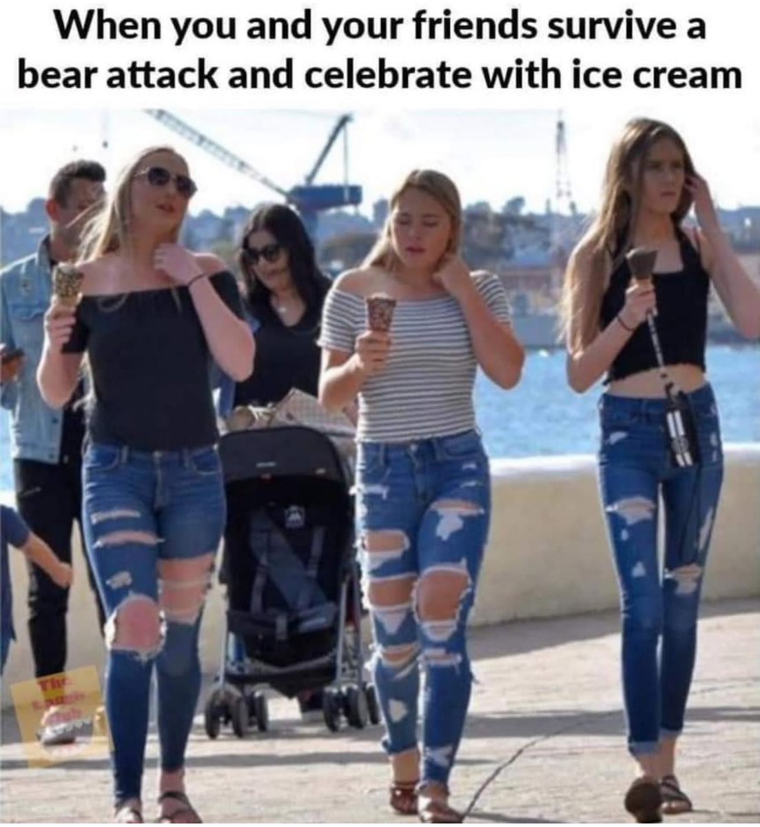 ClownWorld's tweet image. 🤣🤣🤣