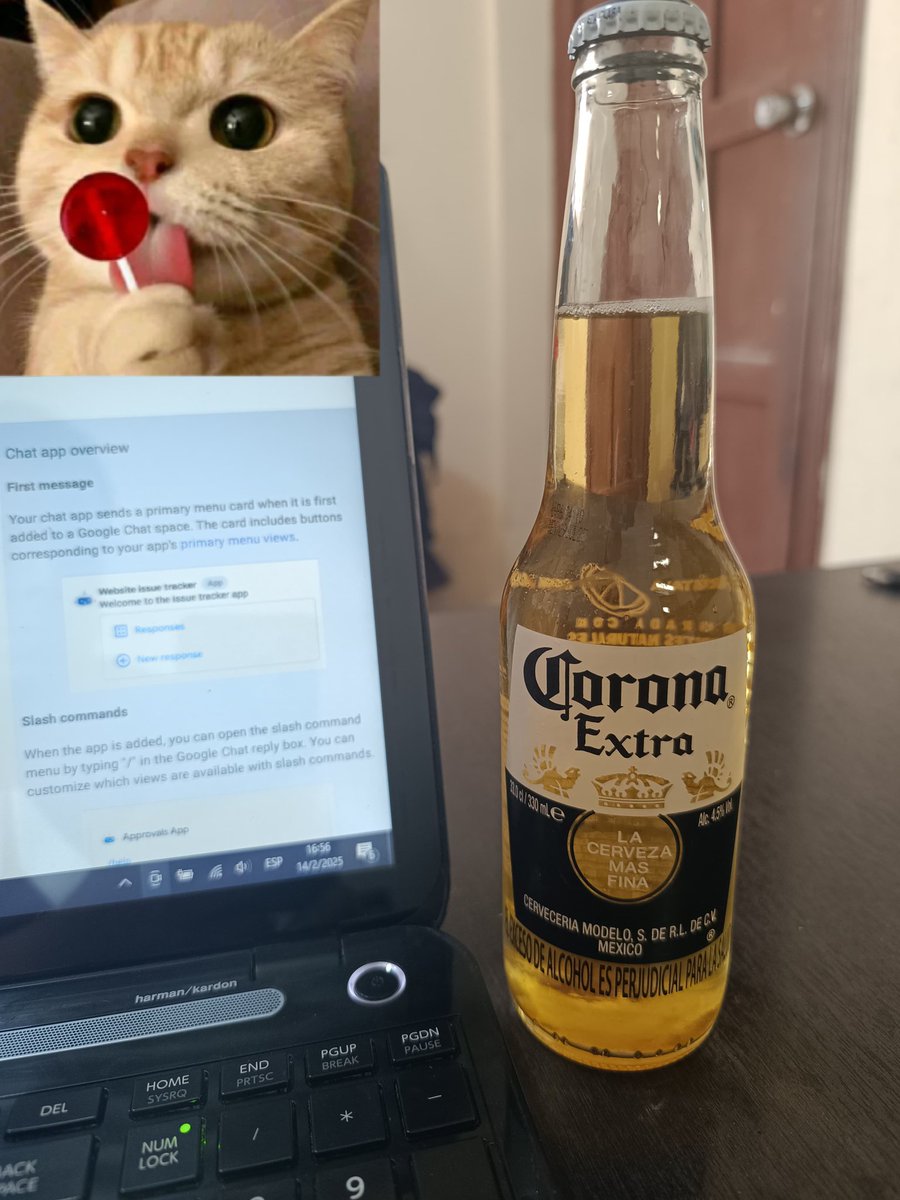 Lyon 🦁🇪🇨 tweet media