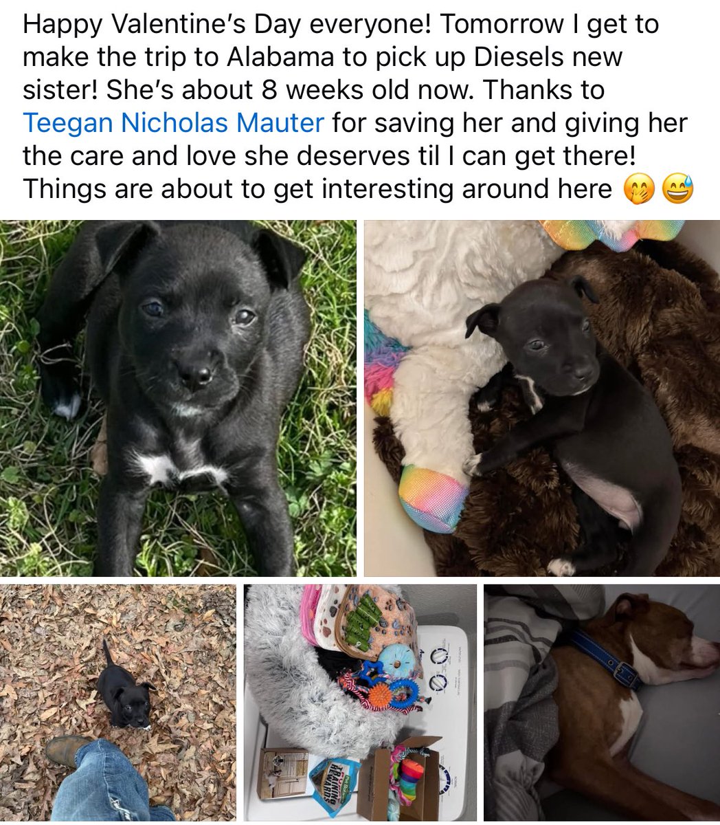 Happy Valentines Day everyone!