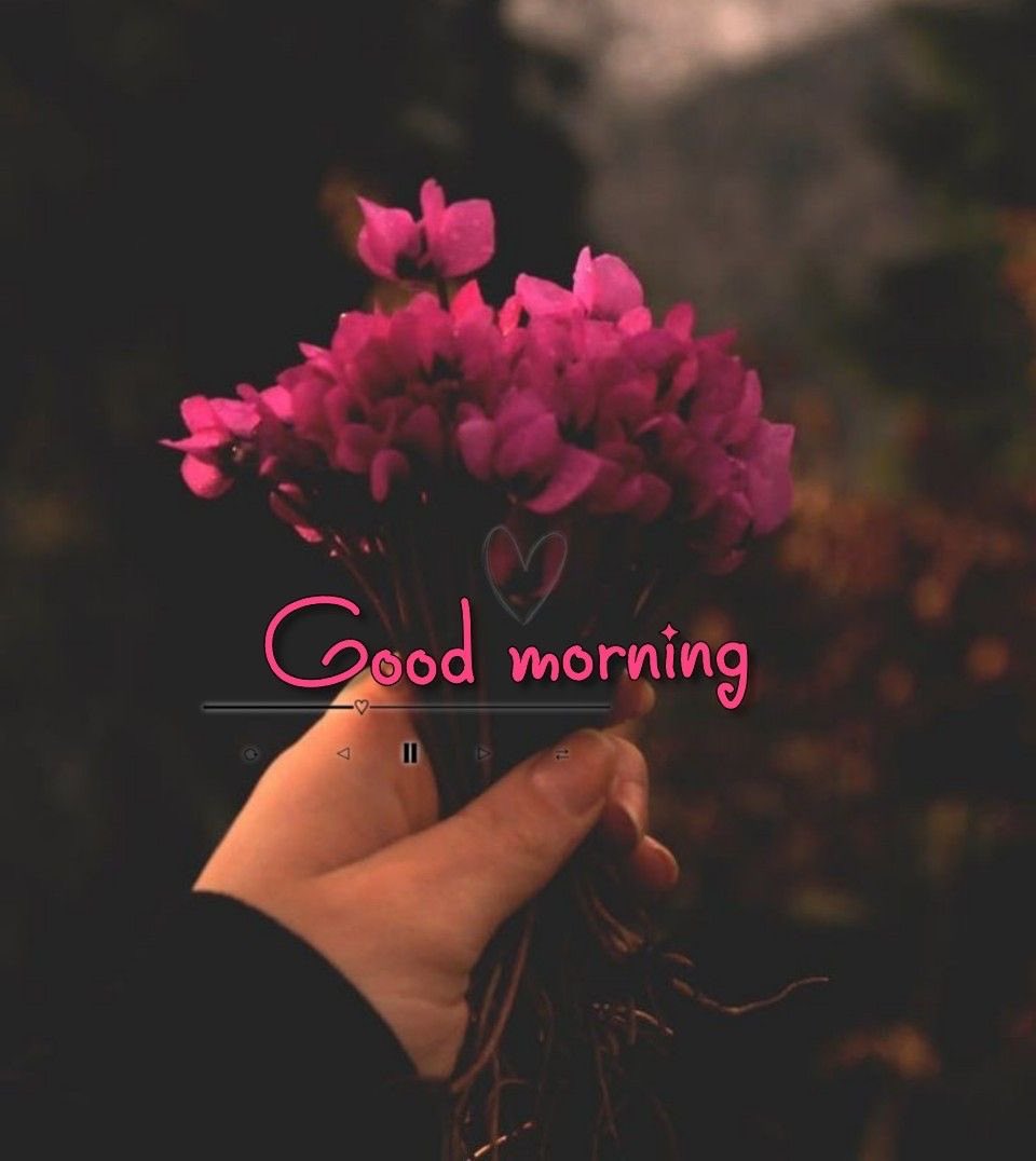 Good morning💓