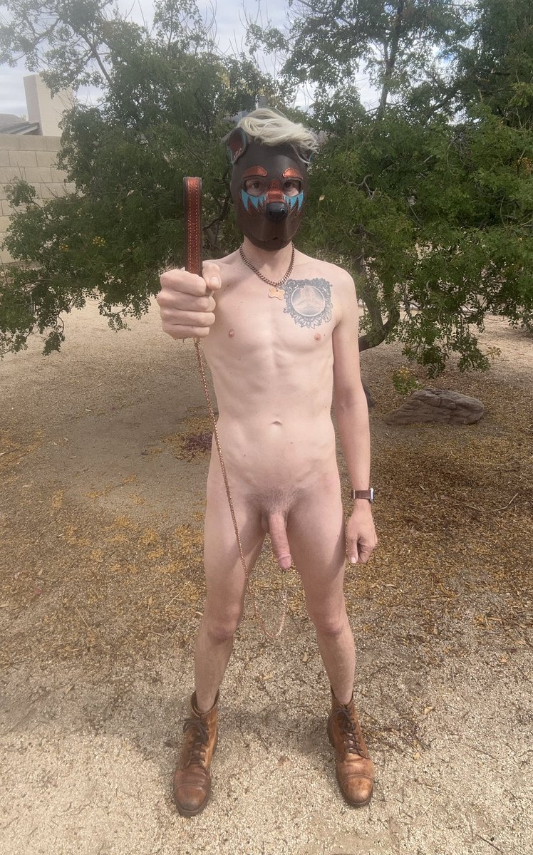 Pup Copper tweet media