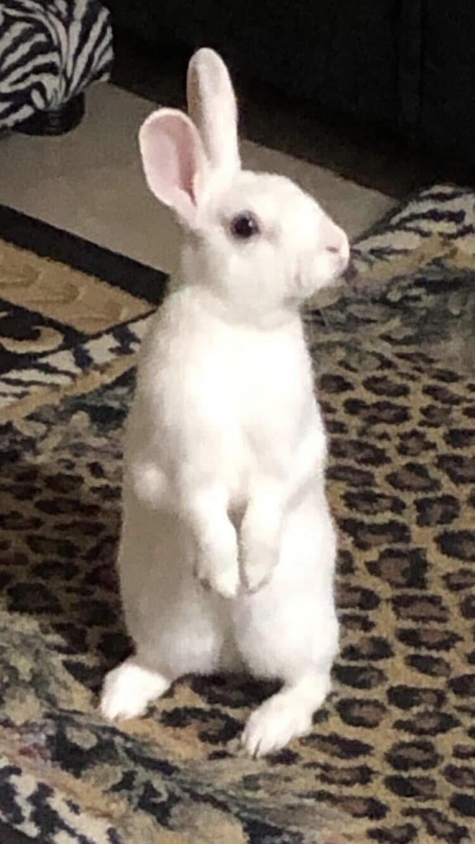 Happy valentines to all of you !