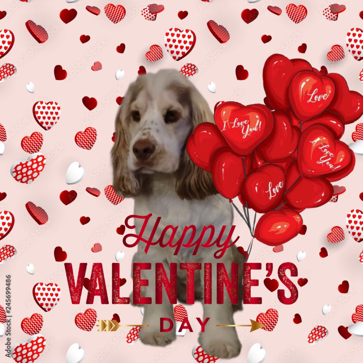 Hello all friends. Hugran is home from her travels 🤗 we send valentine greetings to you all