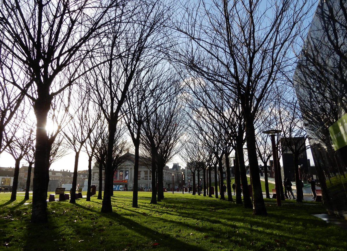 Photo / Museumplein  - Amsterdam  

Website : amsterdamimpressions.nl
RON EDGAR PHOTO  
X : <a href="/020_Impressions/">Amsterdam Impressions</a>
#streetphotography #urbanphotography 

#amsterdam