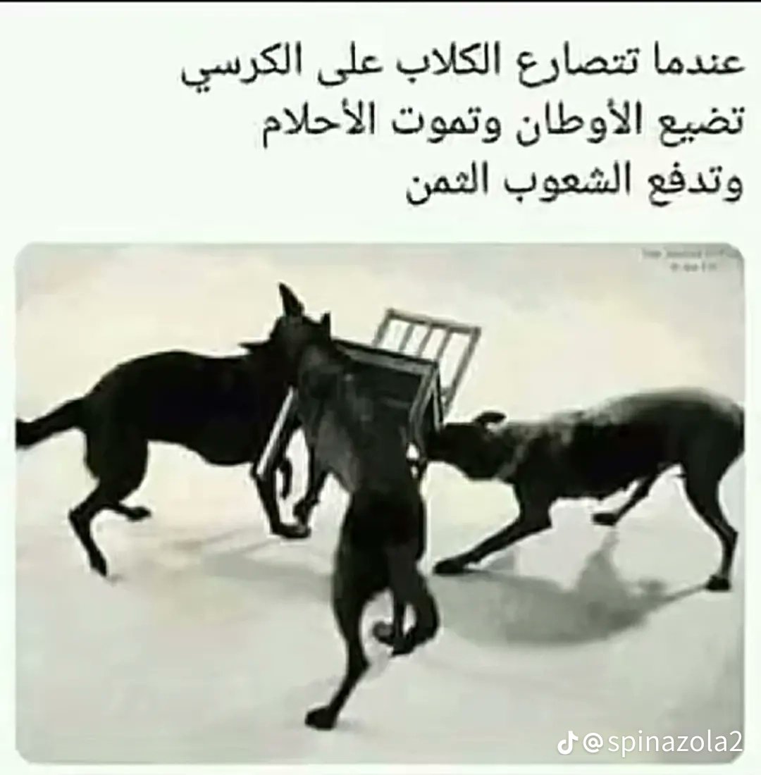 شمر يهرعش (@albldabn7408) on Twitter photo 