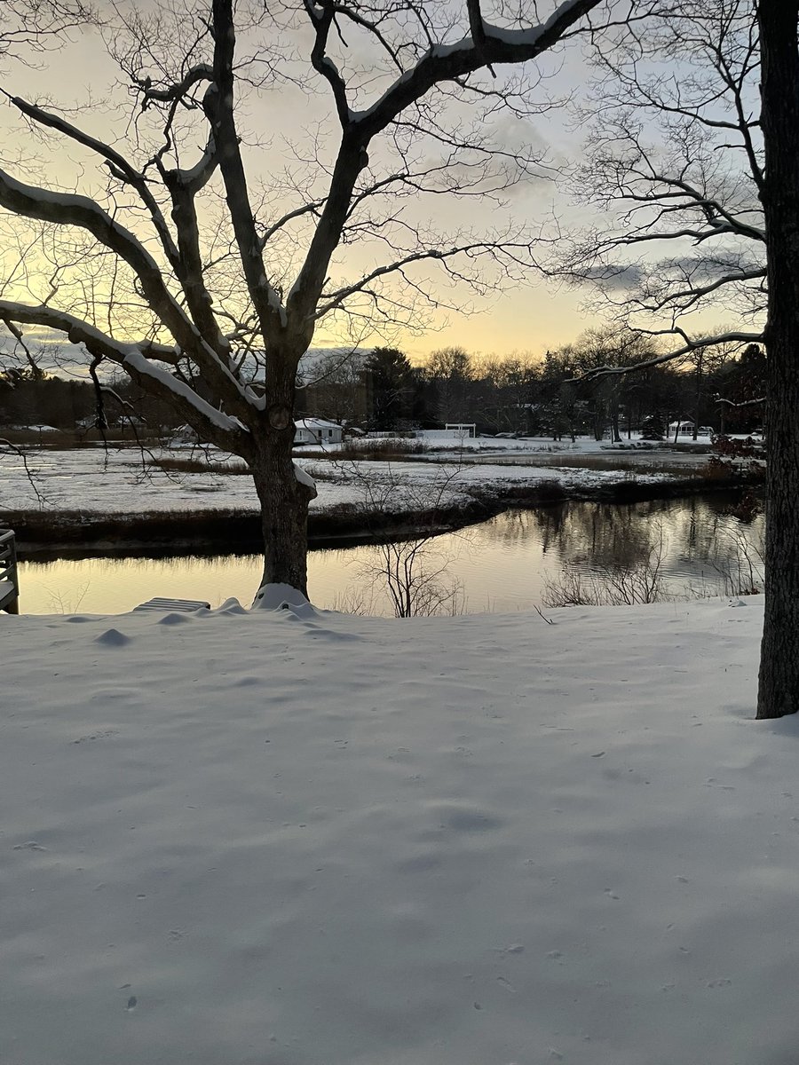 bb_kate_art's tweet photo. fun week ❄️ https://t.co/MQeBCfqhsf