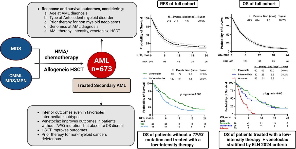 Hagop Kantarjian,MD (@drhkantarjian) on Twitter photo Treated secondary #AML is an adverse subtype of AML that warrants an independent prognostic designation
<a href="/AjHematology/">AmericanJournalofHematology</a>
onlinelibrary.wiley.com/doi/10.1002/aj… Treated secondary #AML is an adverse subtype of AML that warrants an independent prognostic designation
<a href="/AjHematology/">AmericanJournalofHematology</a>
onlinelibrary.wiley.com/doi/10.1002/aj…