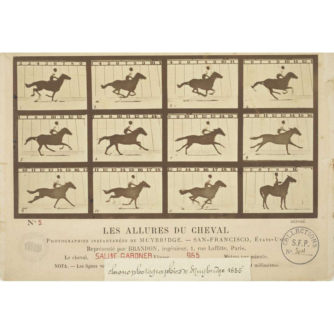 Société française de photographie (SFP) tweet media